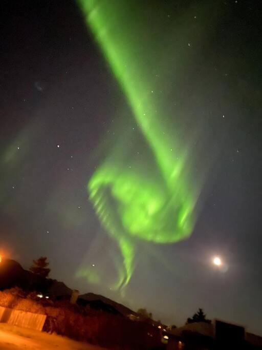 Luxury Cottage Located In The Golden Circle, Mountain View! Laugarvatn Exteriör bild